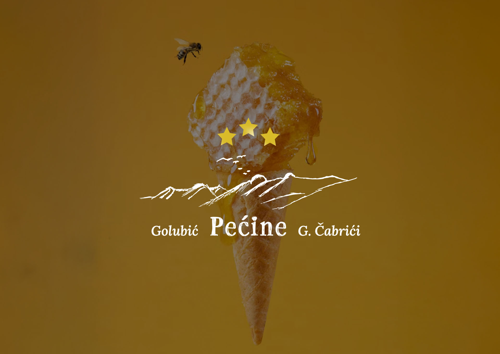 Pecine Brand Visual 2
