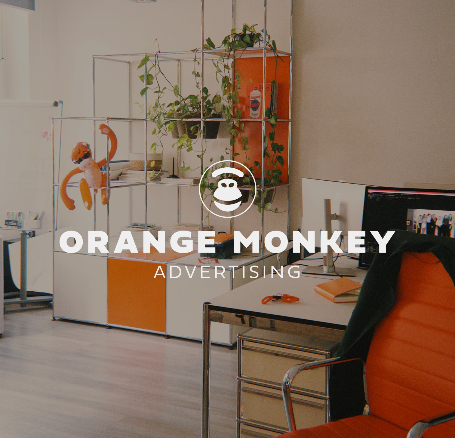 Orange Monkey 1