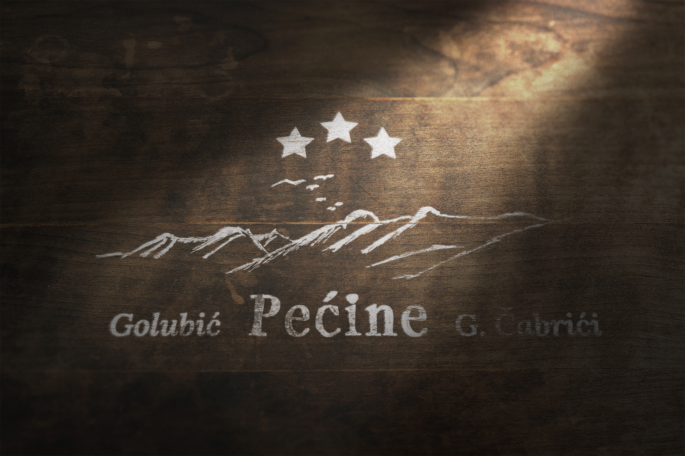 Pecine OPG 2 Weathered Wood Logo Mockup